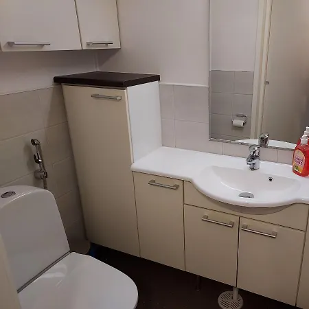 Apartment Vuokatin Katjuska *